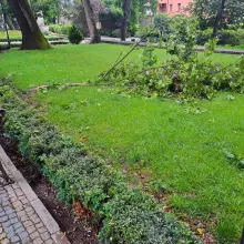 Zobacz zdjęcie: Połamane konary drzew w Bolesławcu
