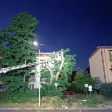 Zobacz zdjęcie: Akcja przy ulicy Podgórnej w Bolesławcu