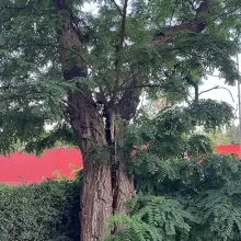 Zobacz zdjęcie: Akcja przy ulicy Podgórnej w Bolesławcu