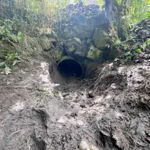 Zobacz zdjęcie: Akcja strażaków
