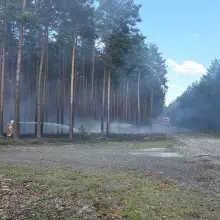 Zobacz zdjęcie: Pożar w lesie