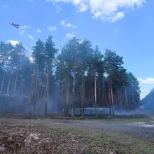 Zobacz zdjęcie: Pożar w lesie