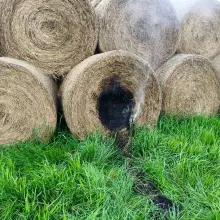 Zobacz zdjęcie: Pożar w gminie Gromadka