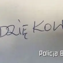 Zobacz zdjęcie: Materiały policji