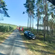 Zobacz zdjęcie: Pożar w Nadleśnictwie Przemków