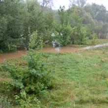 Zobacz zdjęcie: Bóbr - zdjęcia wykonane 16 września, kilka min pod 8.00