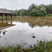 Zobacz zdjęcie: Boisko w Bolesławicach