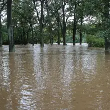 Zobacz zdjęcie: Zalany bulwar nad Bobrem