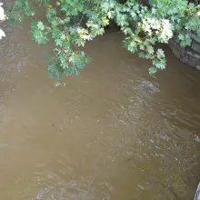 Zobacz zdjęcie: Poziom wody w Bobrze (zdjęcia wykonane około godziny 9.00)