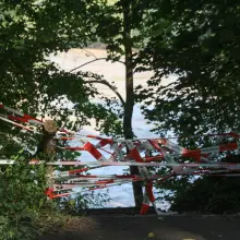 Zobacz zdjęcie: Drzewa spadły na kładkę