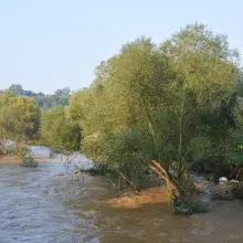 Zobacz zdjęcie: Poziom wody w Bobrze