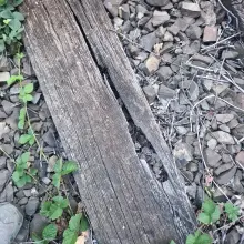 Zobacz zdjęcie: Podkłady kolejowe w Gościszowie
