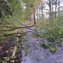 Zobacz zdjęcie: Akcje strażaków