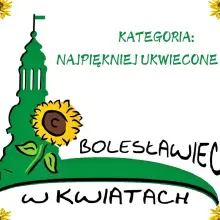 Zobacz zdjęcie: Konkurs
