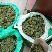 Zobacz zdjęcie: Przeszło 30. osób zatrzymanych. Duża akcja policji