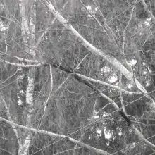 Zobacz zdjęcie: Akcja straży pożarnej