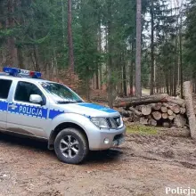 Zobacz zdjęcie: Niewybuchy w lesie