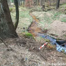 Zobacz zdjęcie: Niewybuchy w lesie
