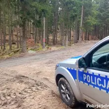 Zobacz zdjęcie: Niewybuchy w lesie
