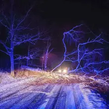 Zobacz zdjęcie: Sytuacja w gminie Olszyna