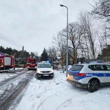 Zobacz zdjęcie: Akcja służb w Starej Olesznej