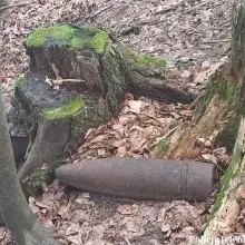 Zobacz zdjęcie: Niewybuchy w lesie