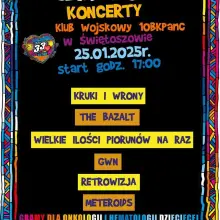Zobacz zdjęcie: Wojsko gra z WOŚP
