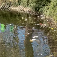 Zobacz zdjęcie: Śmieci i odpadki nad stawem miejskim w Bolesławcu