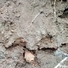 Zobacz zdjęcie: Niewybuchy