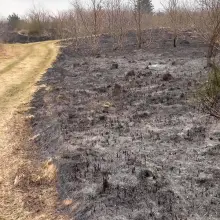 Zobacz zdjęcie: Pożar na strefie