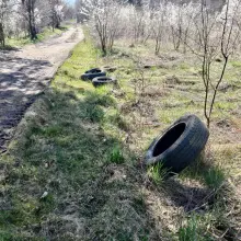 Zobacz zdjęcie: Zaśmiecona okolica Obwodnicy Bolesławca