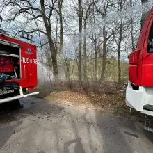 Zobacz zdjęcie: Pożar w lesie