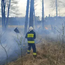 Zobacz zdjęcie: Pożar lasu