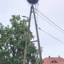 Zobacz zdjęcie: Akcja strażaków