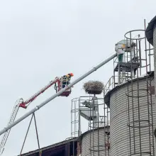 Zobacz zdjęcie: Akcja straży pożarnej