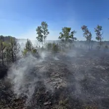Zobacz zdjęcie: Pożary obszarów leśnych