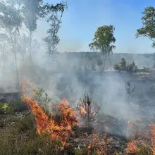 Zobacz zdjęcie: Pożary obszarów leśnych