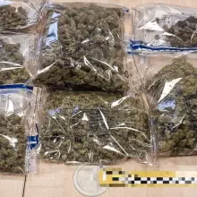 Zobacz zdjęcie: marihuana