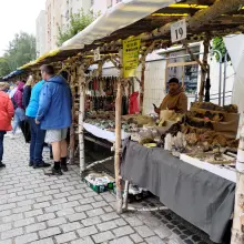 View photo: Lwówek Agate Summer