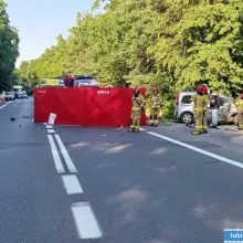 Zobacz zdjęcie: Śmiertelny wypadek na drodze 333
