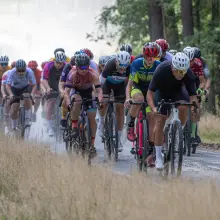 Zobacz zdjęcie: Rowerzyści w wyścigu