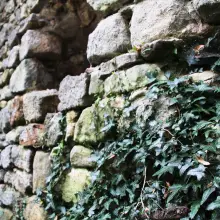 Zobacz zdjęcie: Gwiezdny Zamek Sternburg: magiczne miejsce koło Bolesławca