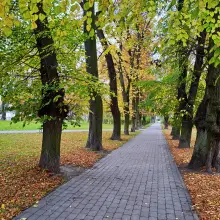 Zobacz zdjęcie: Coraz mniej ławek na terenie miasta. MZGM tłumaczy