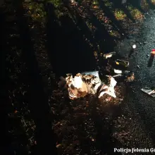 Zobacz zdjęcie: Podejrzany i ładunek wybuchowy
