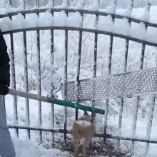 Zobacz zdjęcie: Interwencja mundurowych z Kruszyna