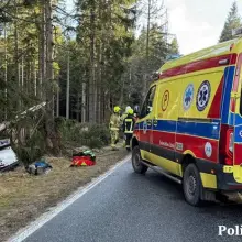 Переглянути фотографію: Занесло, зніс два дерева й перекинувся