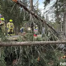 Переглянути фотографію: Занесло, зніс два дерева й перекинувся