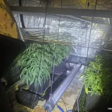 Zobacz zdjęcie: Przechwycona marihuana