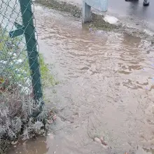 Zobacz zdjęcie: Akcja strażaków w miejscowości Różyniec