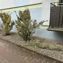 Переглянути фотографію: Місце події